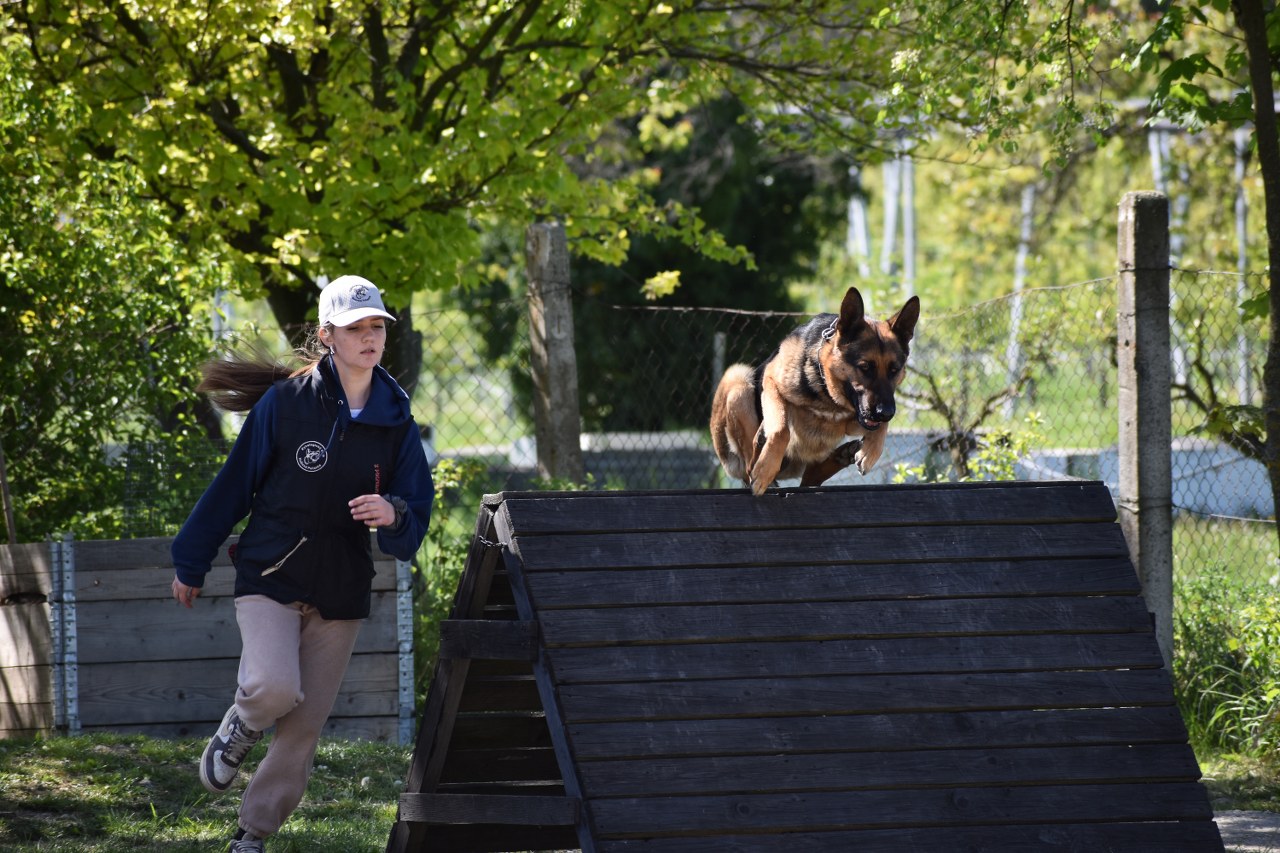 DSC_0388_1280x853.JPG